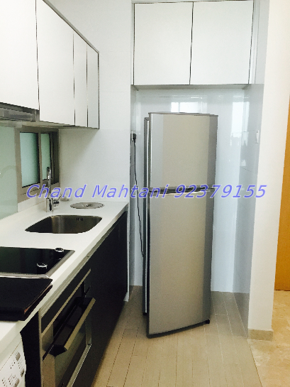 One Jervois (D10), Condominium #53376512